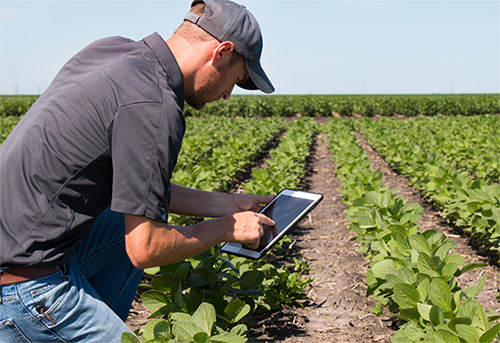 The New Reality of Advanced Agricultural Imaging | A3